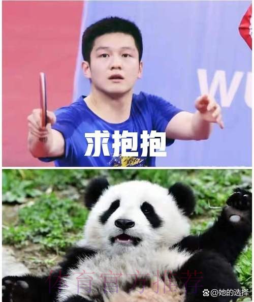 《熊猫说球》第四集:球员 《熊猫说球》第四集:球员